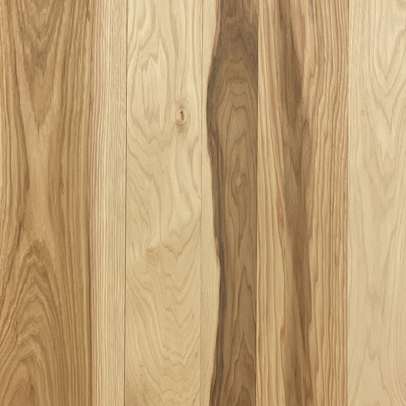 Hickory Hickory
