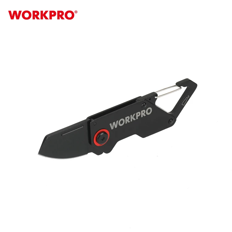 WP381009-1