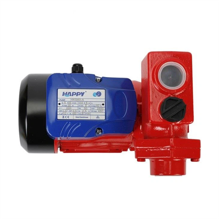 กำลังปั๊มน้ำ