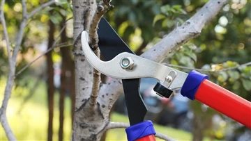 กรรไกรตัดหญ้า Hedge Trimmer: การเปรียบเทียบเครื่องมือตัดแต่งกิ่ง